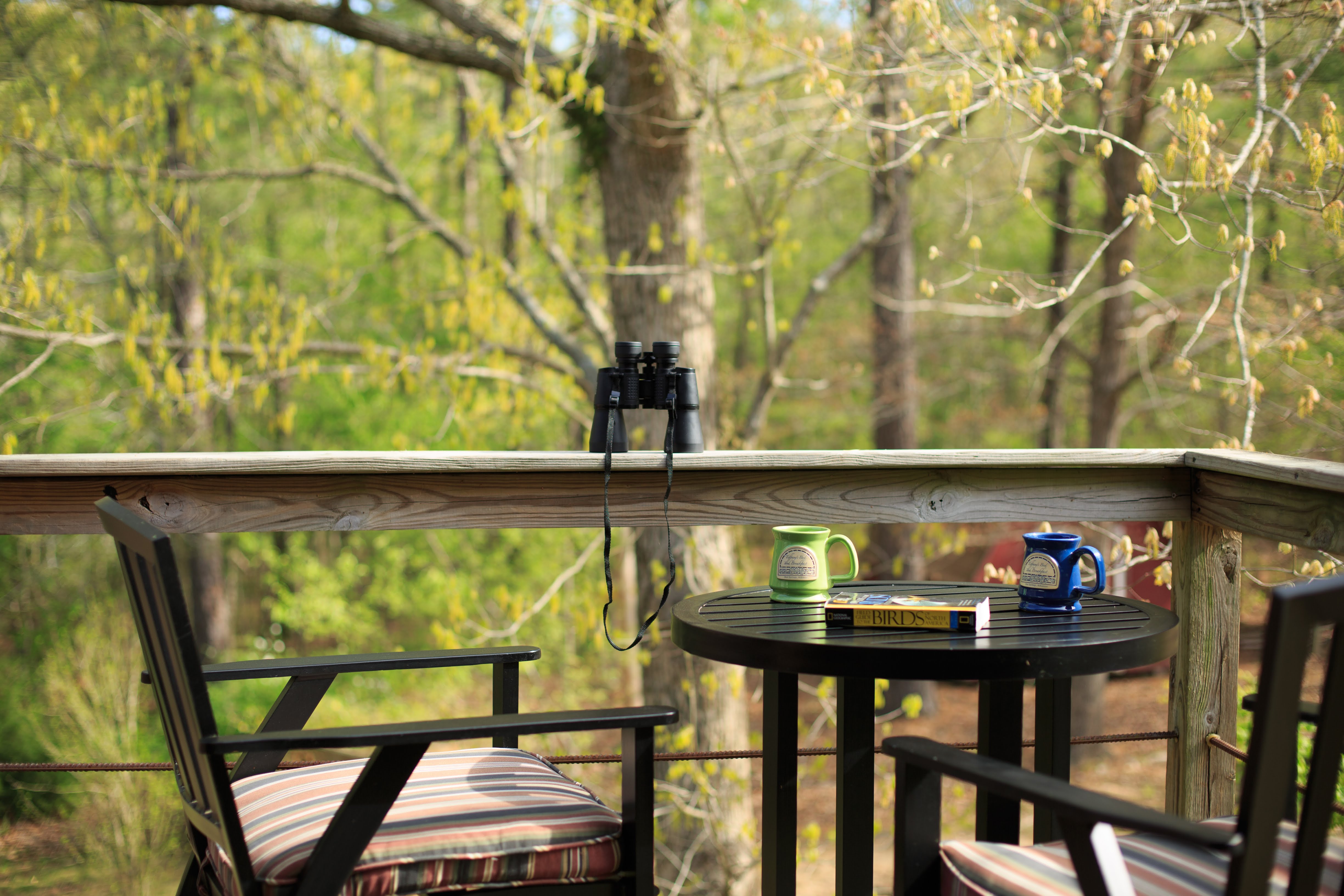 A deck with a wooden rail. There are 2 black metal chairs with chair pads and a table in between them. On top of the table is a book and 2 coffee mugs. On the wooden rail is a pair of binoculars. There are numerous trees in the background.