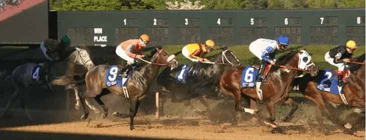 A thrilling horse race with multiple competitors rounding the track. A thrilling horse race with multiple competitors rounding the track.