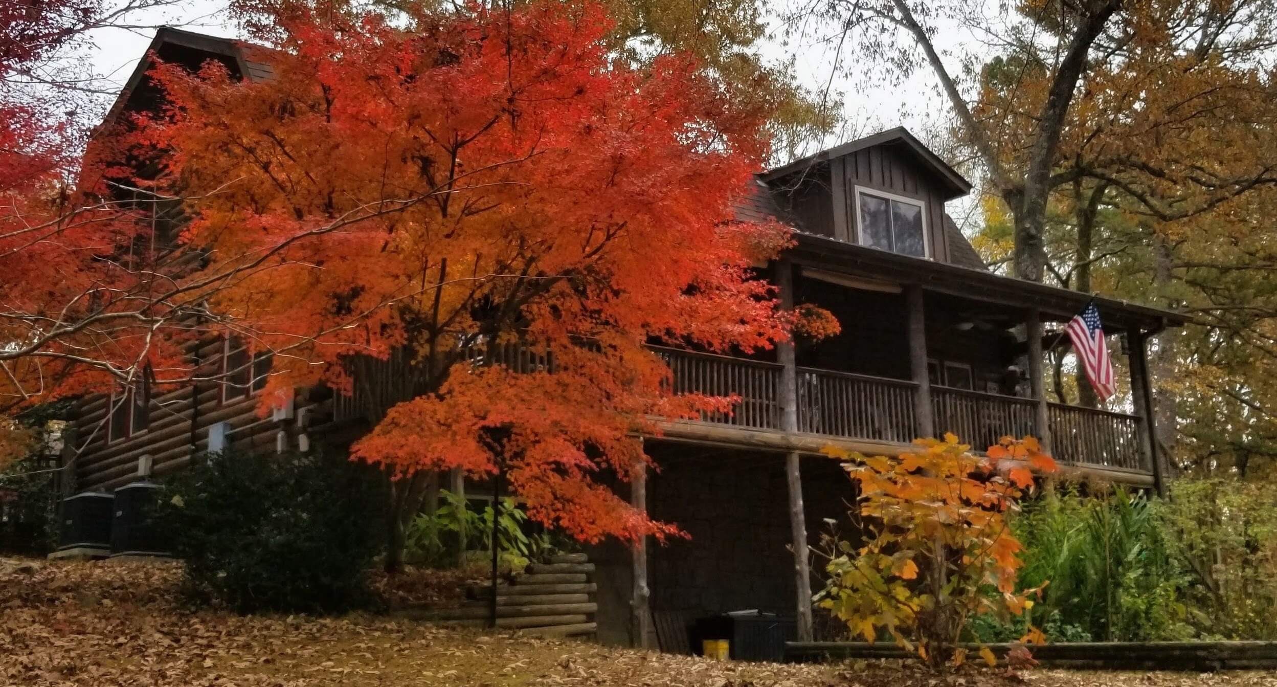 Tiffany's Bed and Breakfast surrounded by vibrant red Japanese maple trees during autumn in Bismarck Arkansas Tiffany's Bed and Breakfast surrounded by vibrant red Japanese maple trees during autumn in Bismarck Arkansas