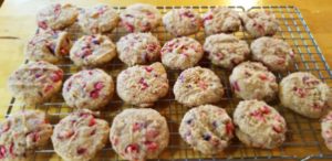 cranberry cookies on a pan