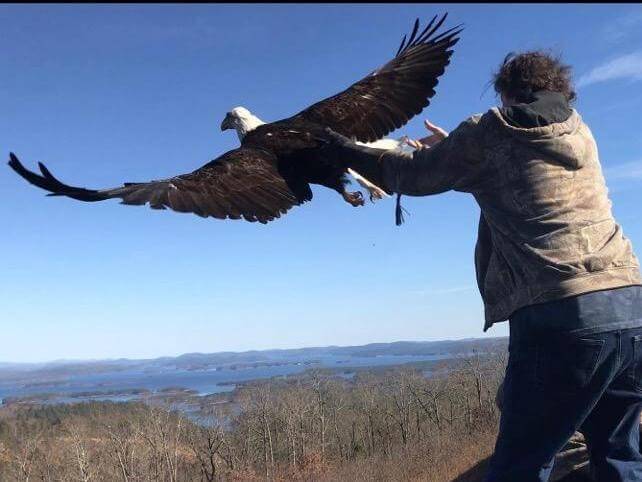 a person with outstretched arms releasing a bald eagle into the wild against the backdrop of a lake